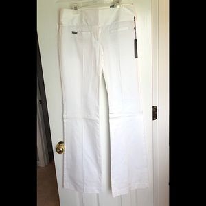 Express Editor Style Pant